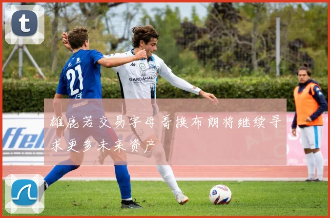 雄鹿若交易字母哥换布朗将继续寻求更多未来资产
