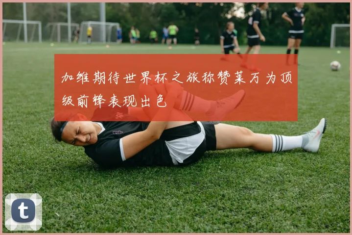 加维期待世界杯之旅称赞莱万为顶级前锋表现出色