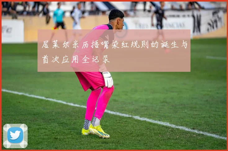 居莱尔亲历捂嘴染红规则的诞生与首次应用全记录